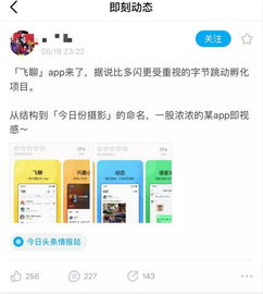 头条系app工厂再降一兵 飞聊上线主打三大功能,再迎战微信